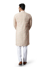 Load image into Gallery viewer, mens lucknowi fawn colour printed kurta